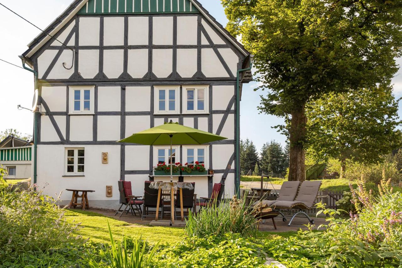 Villa Ortmanns Eulennest Finnentrop Esterno foto