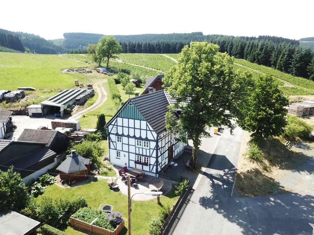 Villa Ortmanns Eulennest Finnentrop Esterno foto