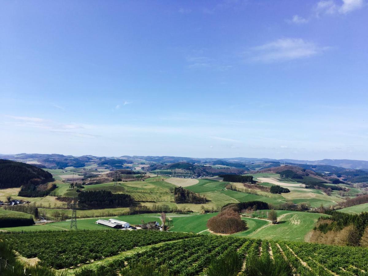 Villa Ortmanns Eulennest Finnentrop Esterno foto